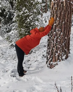 Read more about the article Luontojoogaa Torpan Metsässä Halikossa